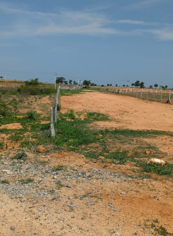 property_gallery_img_4767